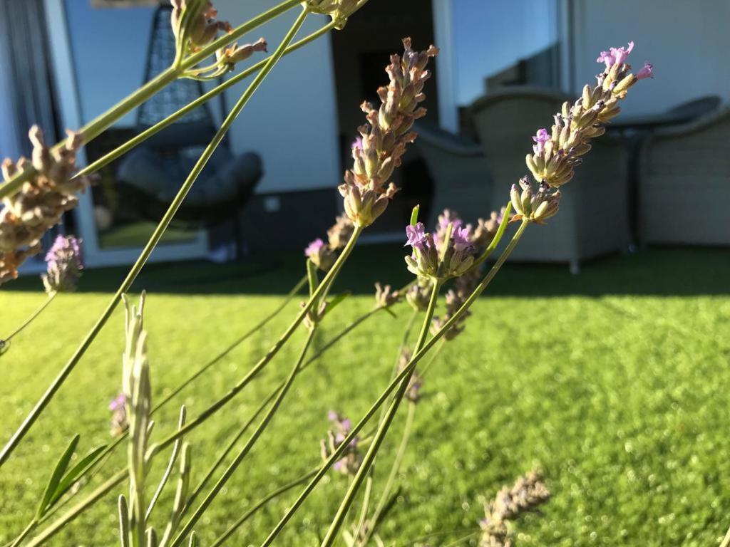 Hedonist-Luxury 2 Bedroom Apartment With Private Hot Tub, Garden And Free Parking 트로기르 외부 사진